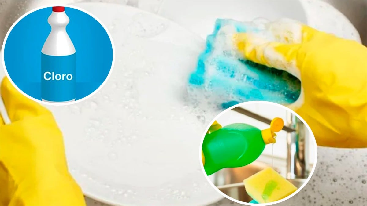 ¿Sabes por qué no debes mezclar el cloro y el jabón para trastes?, aquí te lo decimos