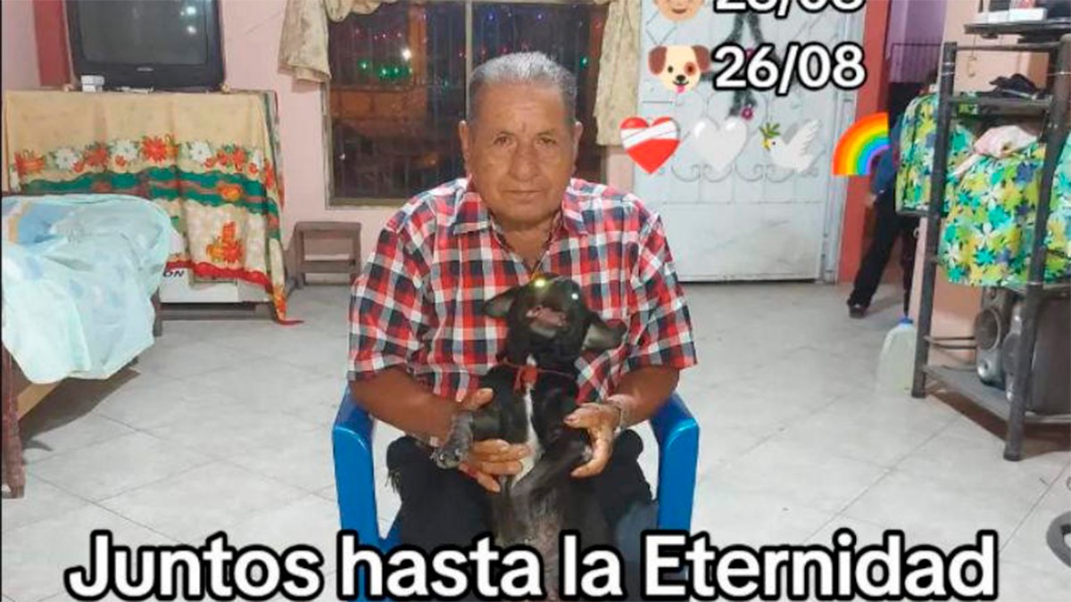 VIDEO Perrita muere tres días después de enterrar a su dueño, eran amigos inseparables