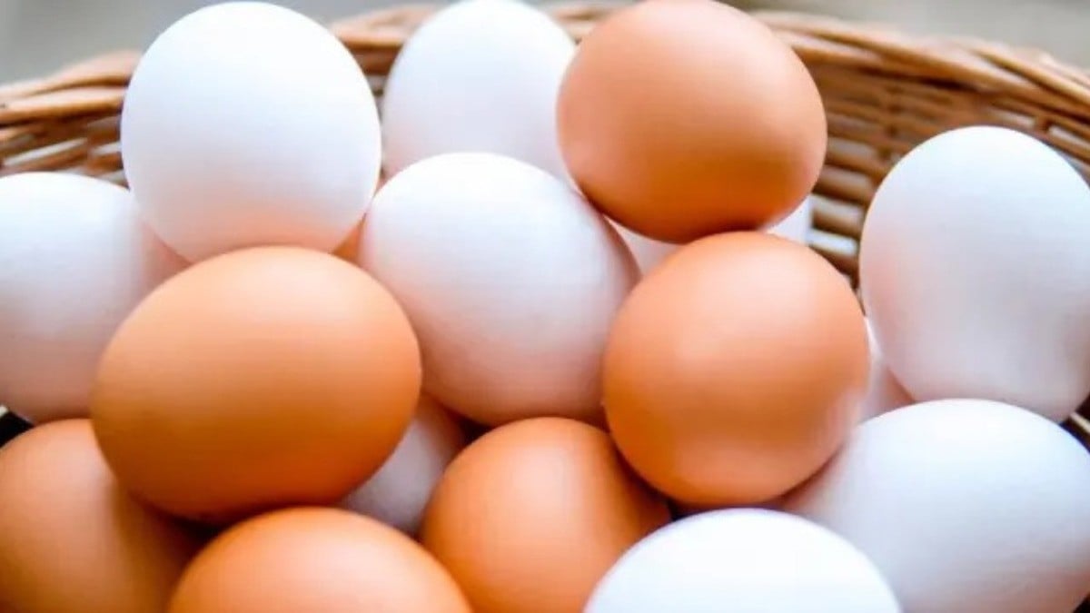 Estos son los huevos de mejor calidad y con mayor proteína, según la Profeco