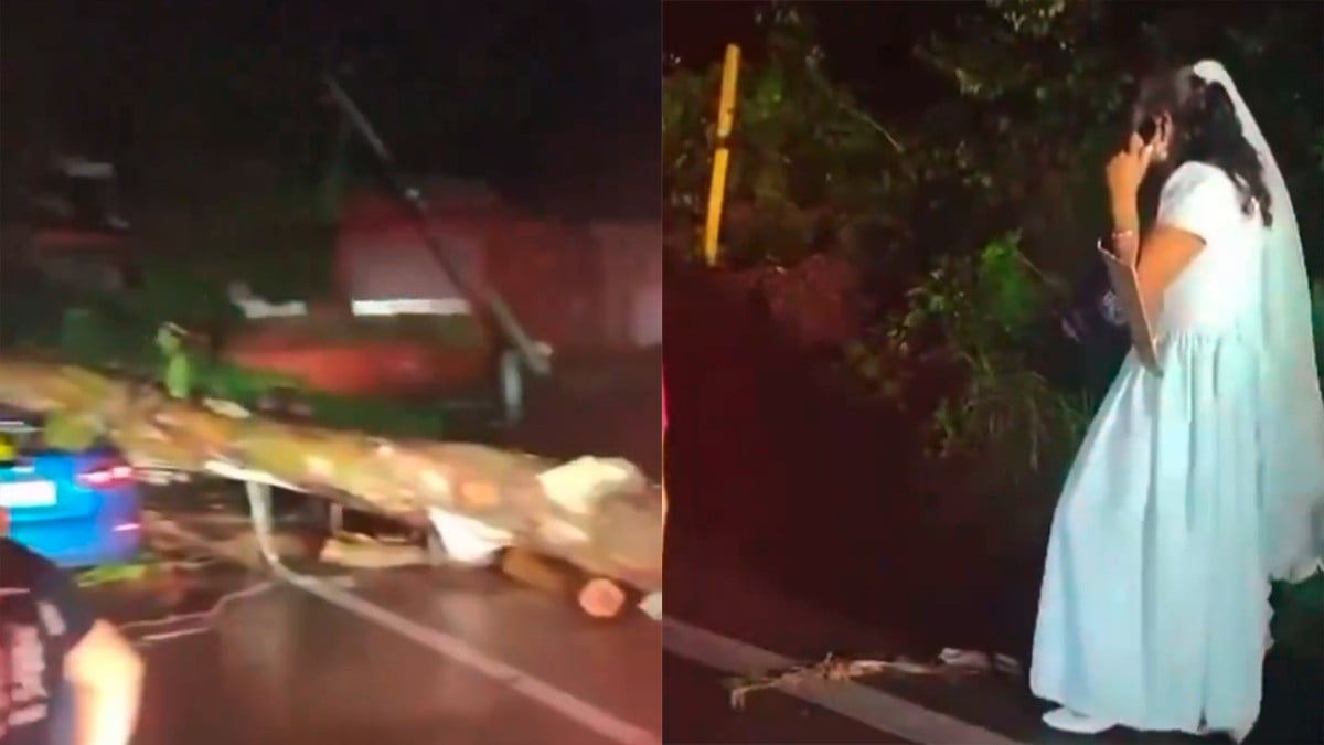 VIDEO Novia iba a su boda, pero un árbol cayó por la tormenta y ella quedó atrapada