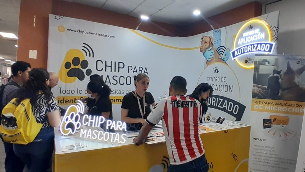 ¿Vas al extranjero con tu mascota? Necesita este chip para viajar