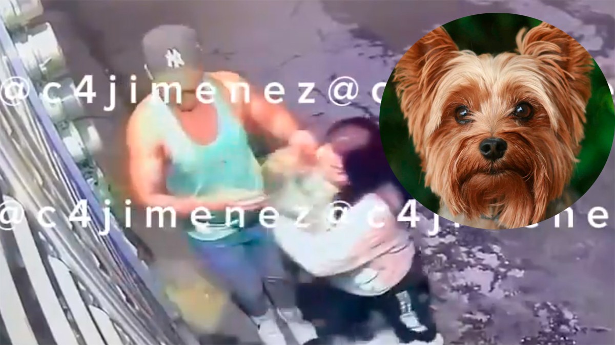 VIDEO Mujer se roba perrito y lo regresa, exige que quiten el video donde la evidenciaron