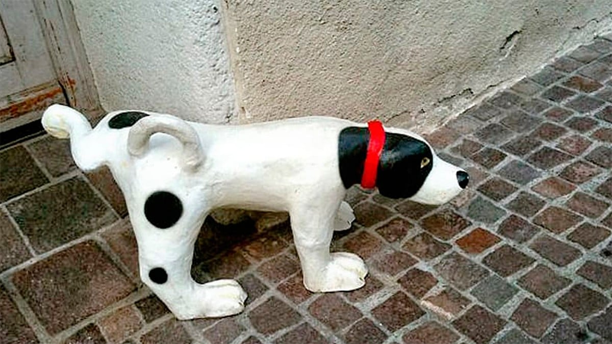 Haz esto para evitar que perros callejeros ‘marquen territorio’ en la entrada de tu casa