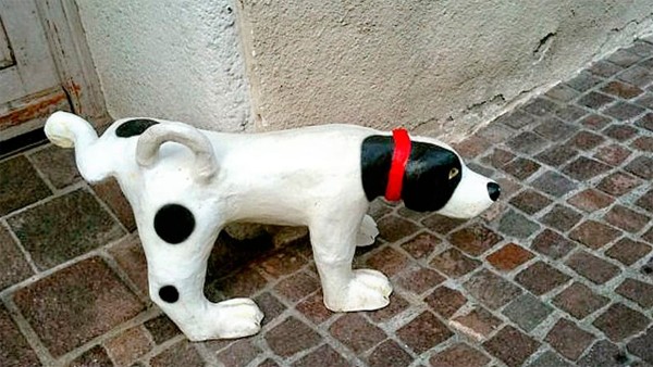 Haz esto para evitar que perros callejeros ‘marquen territorio’ en la entrada de tu casa