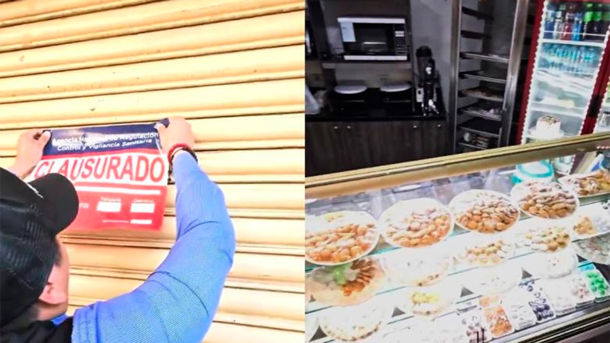VIDEO Clausuran una pastelería por sucia, no creerás lo que encontraron en los pasteles
