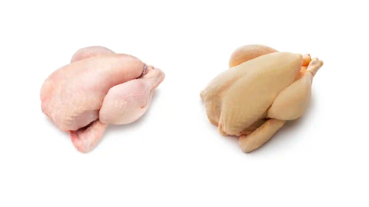 Pollo amarillo o pollo blanco ¿Cuáles son sus diferencias y cuál es más saludable?