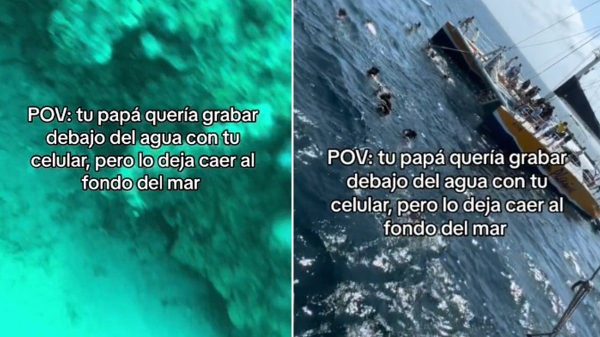 VIDEO Iba a grabar bajo el mar con su celular pero se le cae y capta increíbles imágenes