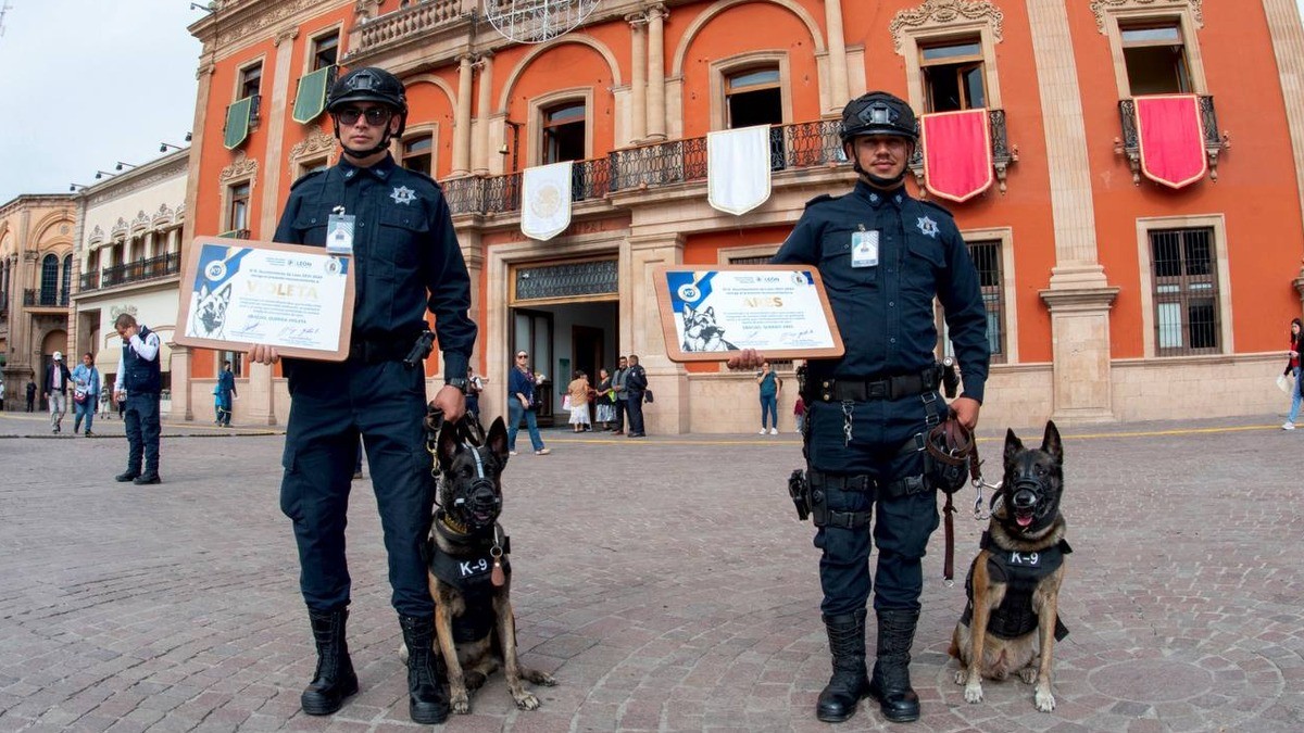 Se jubilan Violeta y Ares, canes del K9 entregados al servicio de León