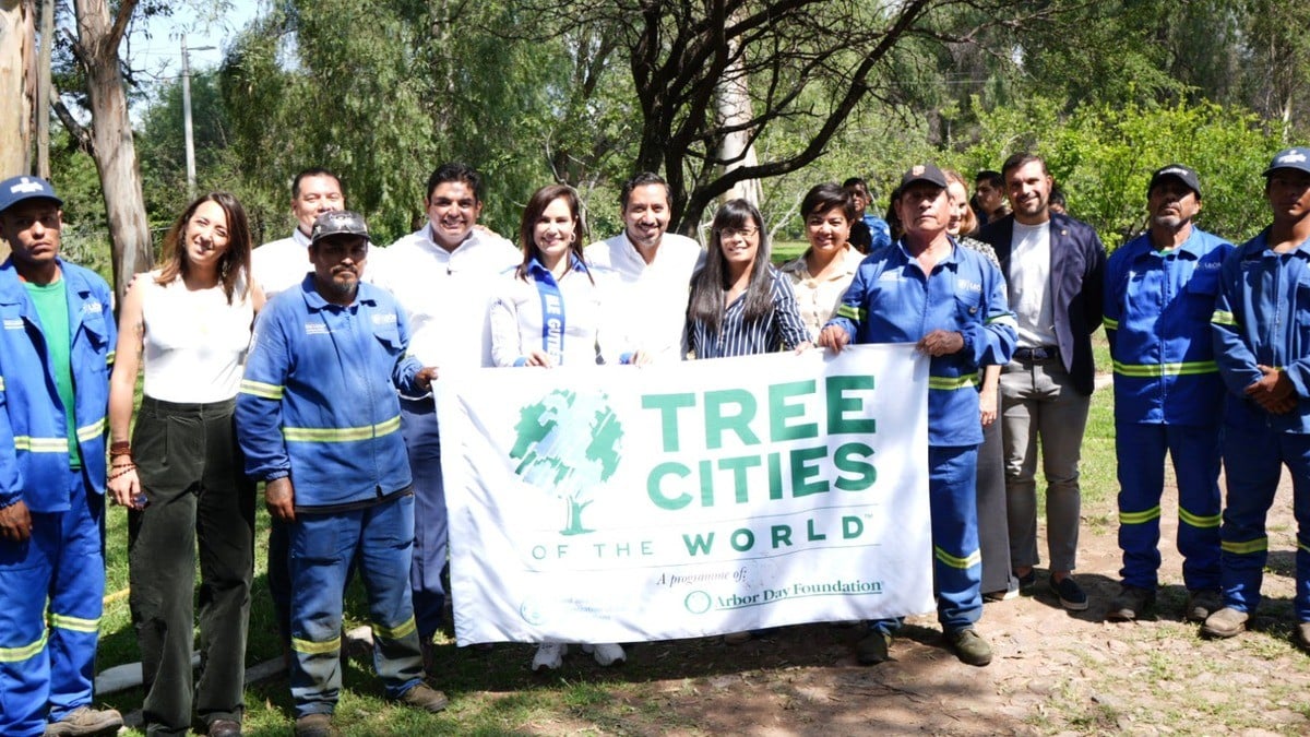 León, pionero en certificación internacional por su 'amor a los árboles'
