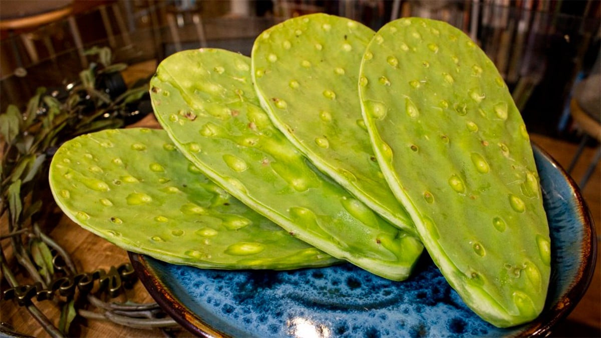 Este es el mejor alimento para las personas que tienen diabetes, toma nota