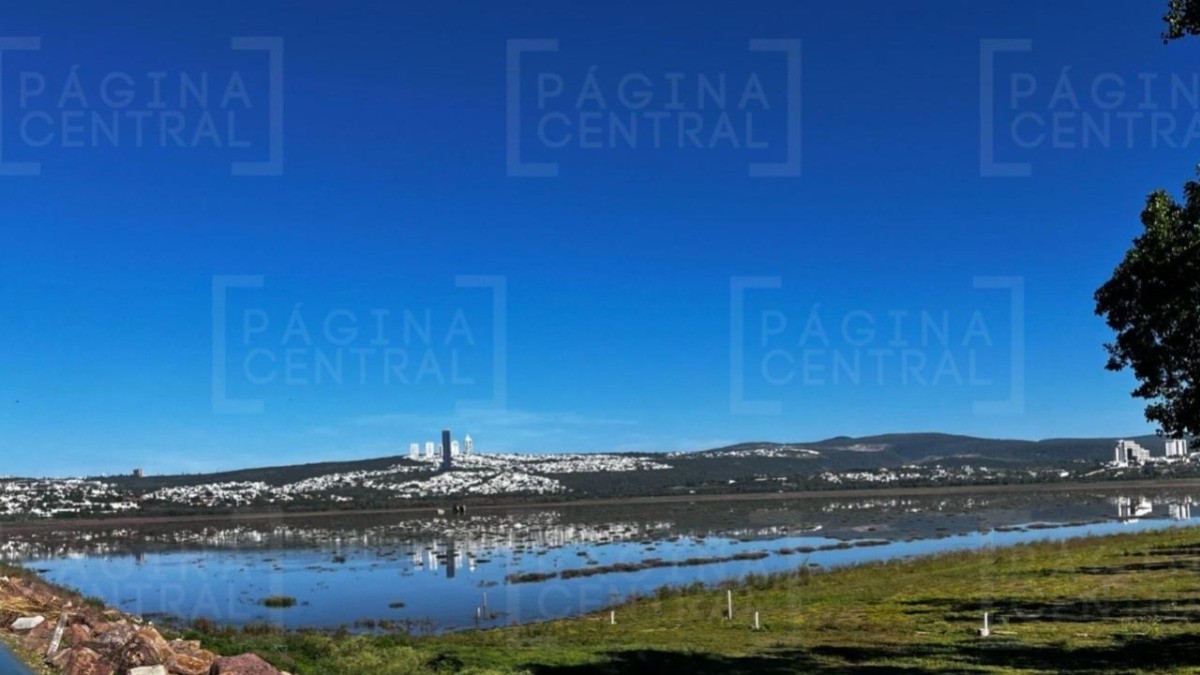 Por esta razón no llega agua a la presa El Palote; detectaron esto en Sierra de Lobos