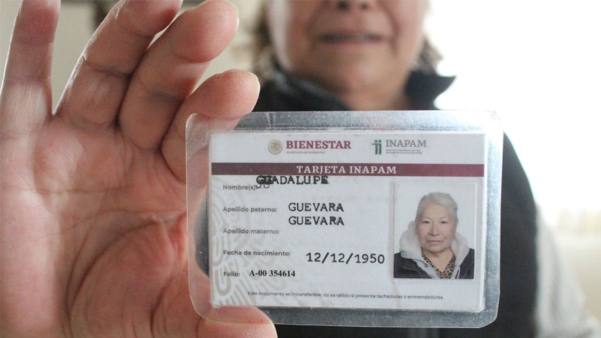 ¡Descuentos hasta en vuelos! Estos son los nuevos beneficios de la tarjeta INAPAM