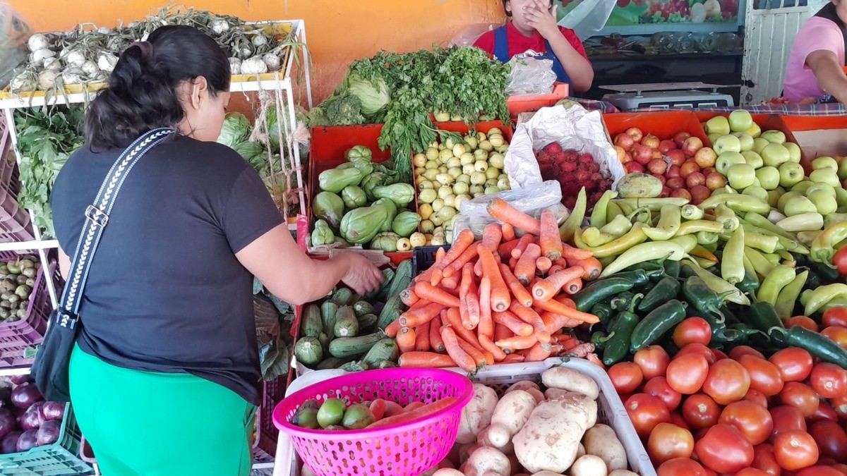 Aumentan precios de la canasta básica; te digo en dónde dan más barato en León