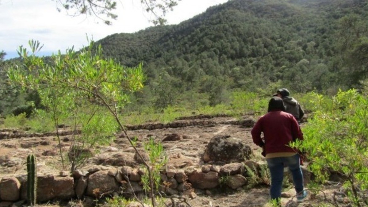 Guanajuato impulsa restauración de ecosistemas en Comonfort, Salvatierra y Tierra Blanca