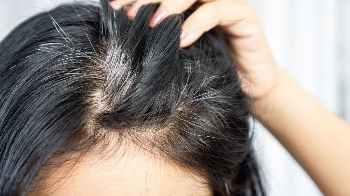 ¿Te asustan las canas? Así puedes prevenirlas o incluso eliminarlas