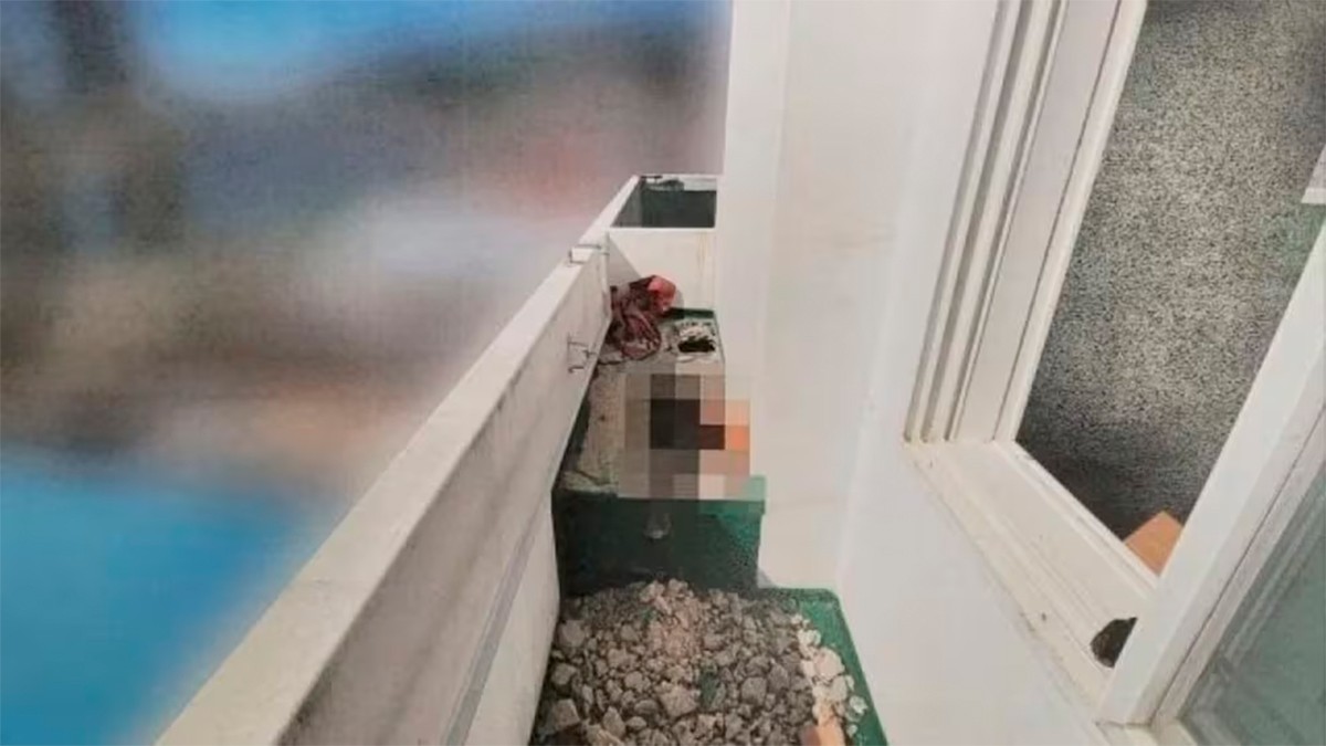 Trabajador removió cemento para reparar gotera y descubrió cadáver de una mujer