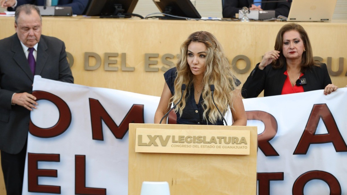 Insiste Morena en que “Libia Dennise compró la gubernatura“