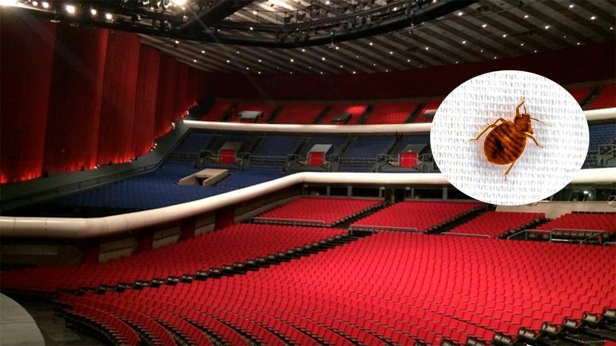 VIDEO Captan chinches en los asientos del Auditorio Nacional, se vuelve viral