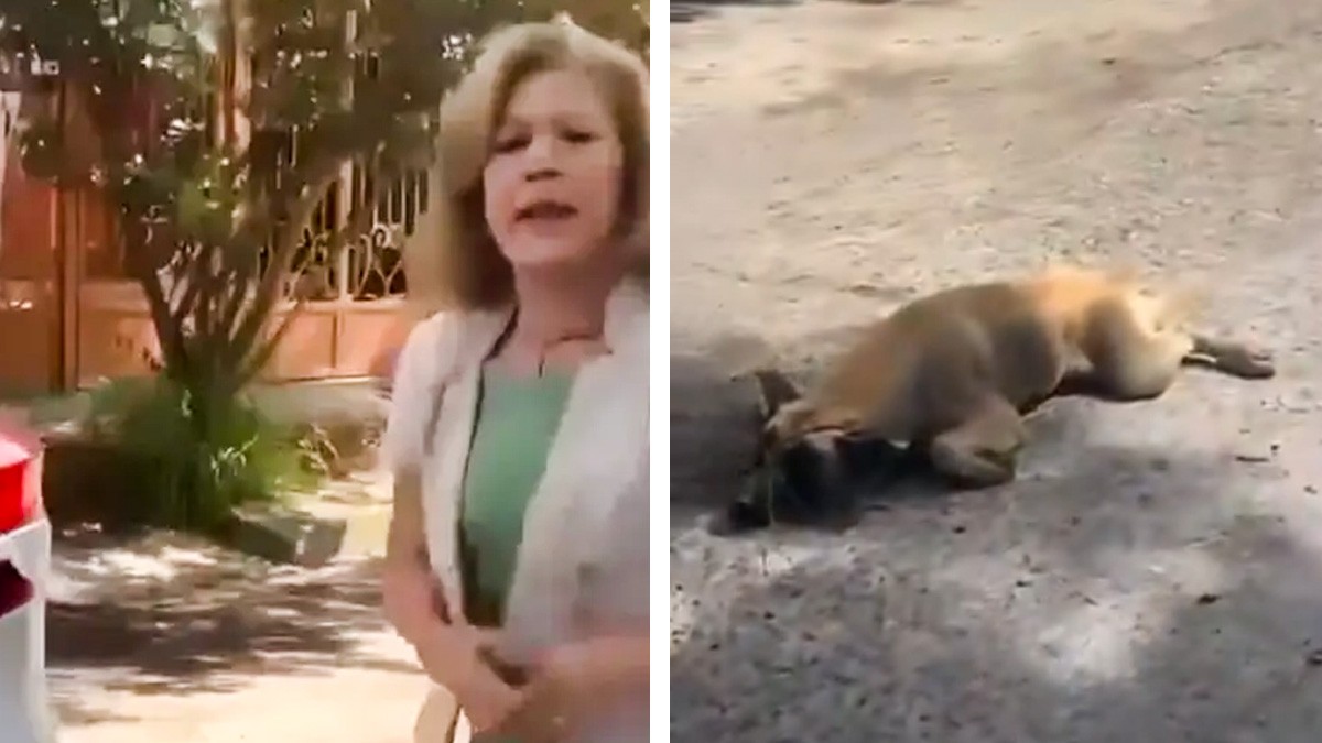 VIDEO Mujer amarra a perrito a su camioneta y lo arrastra por la calle; vecinos la confrontan