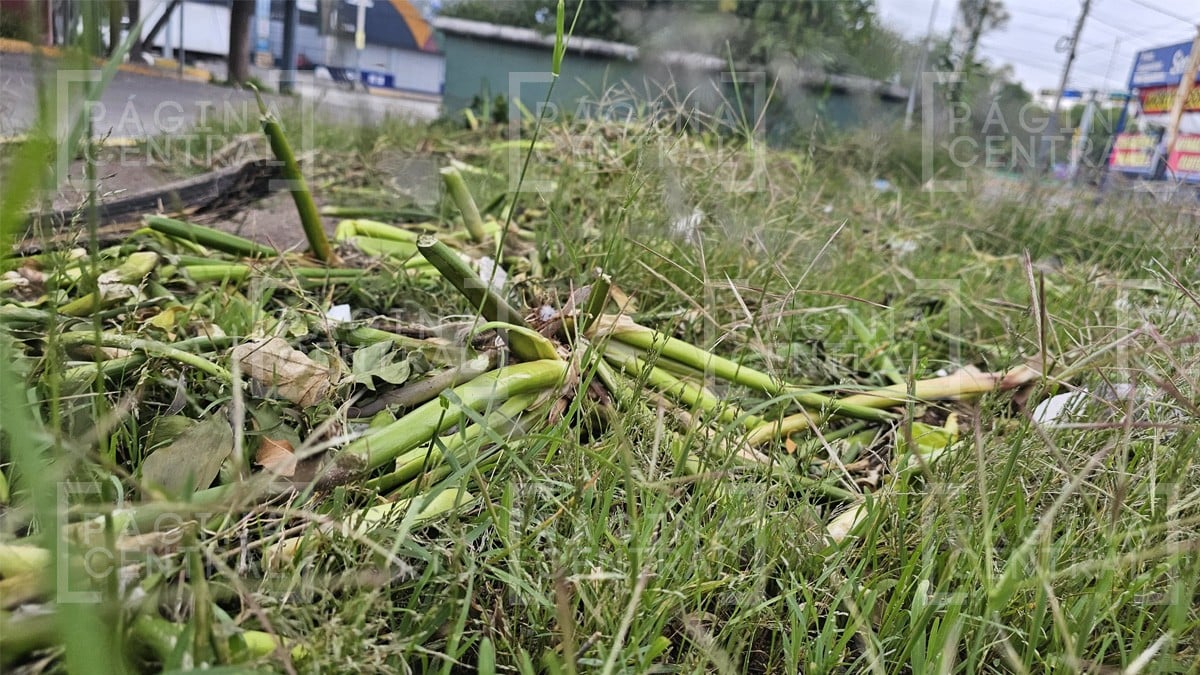 Lluvias y fiestas patrias dejan ¡70 toneladas de basura en León!