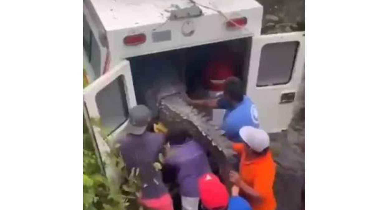 VIDEO Cocodrilos invaden Oaxaca tras el huracán John; ¡mira esto!