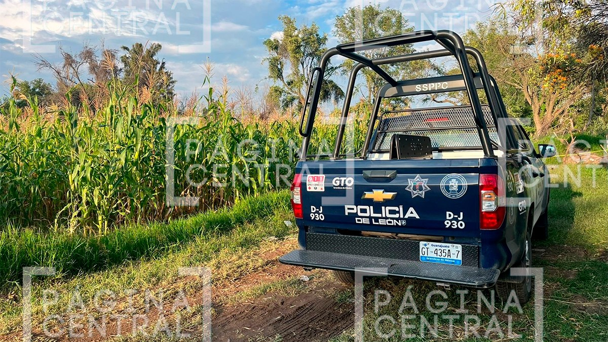 Omar Ulises desapareció hace tres días y hoy lo encontraron muerto entre milpas de maíz