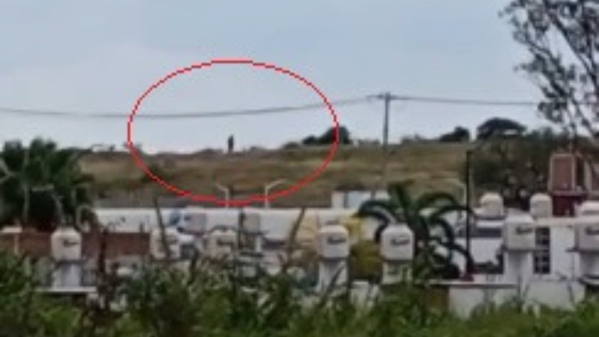 VIDEO Captan a gigante en la Jacinto López en León ¿O es ilusión óptica?