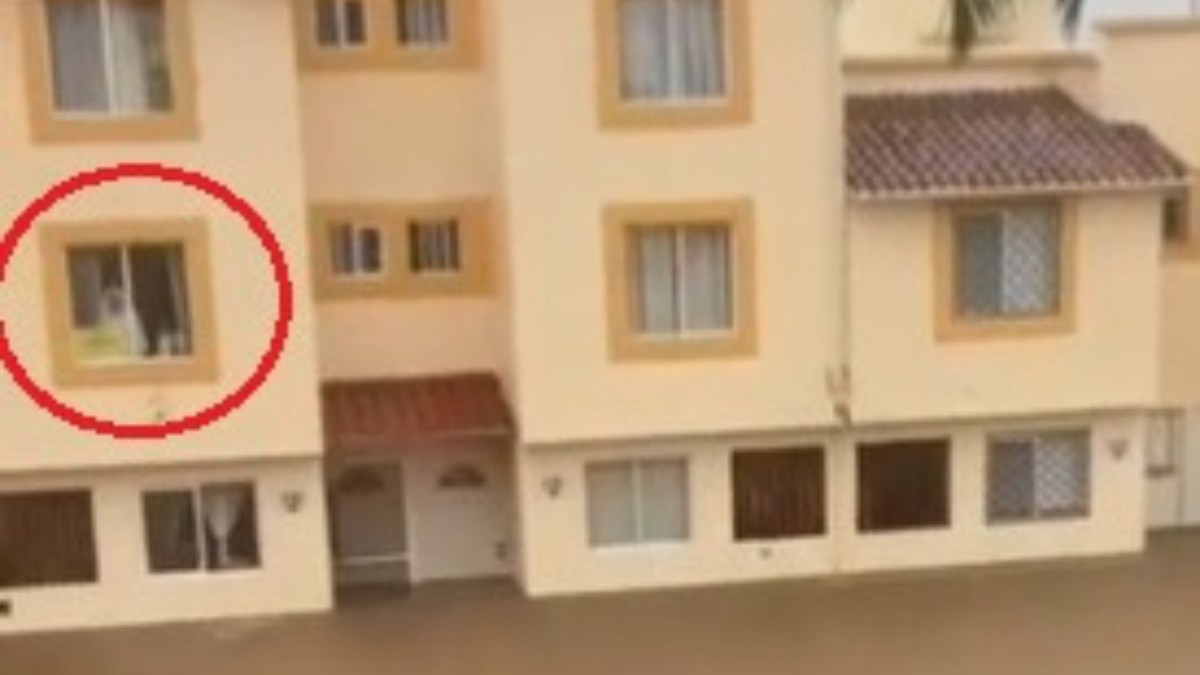 ¿No llegó al altar? Captan a fantasmal mujer vestida de novia en casa inundada de Acapulco