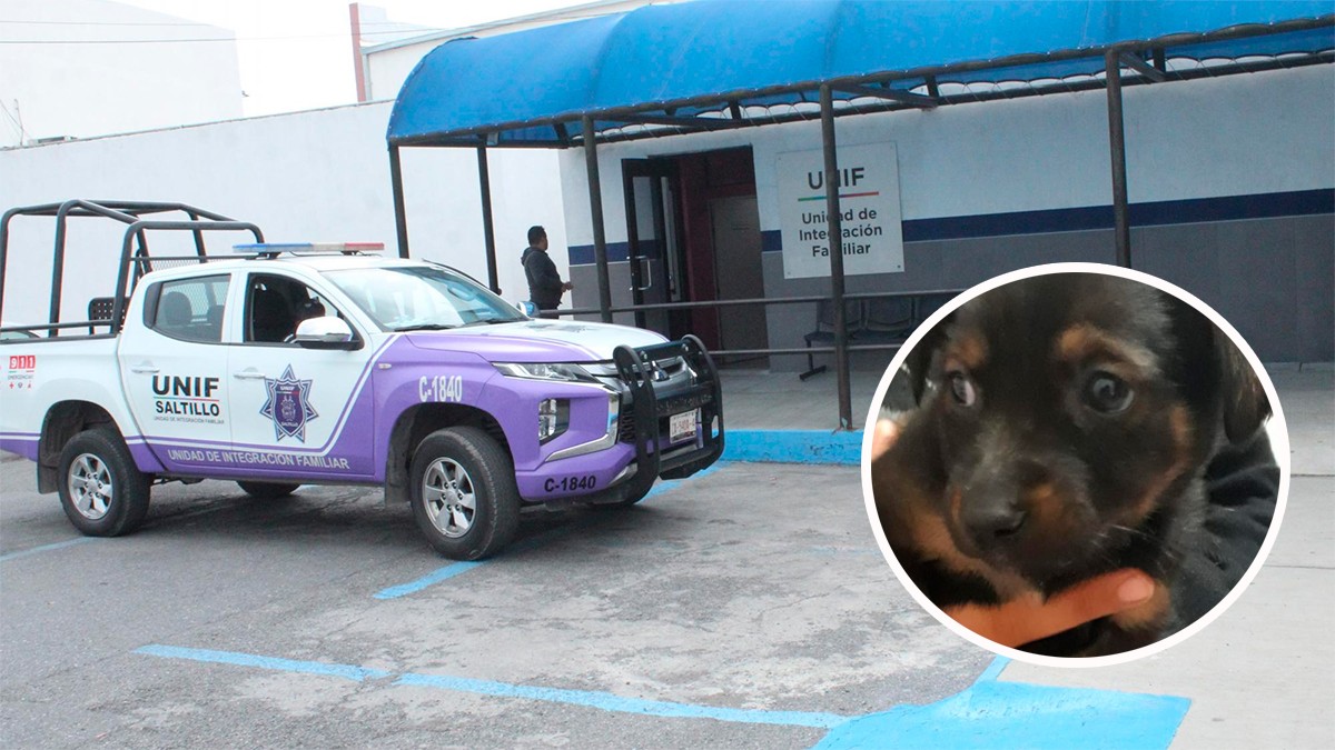Encuentran a pequeño con su perro deambulando en la calle, sus padres estaban intoxicados