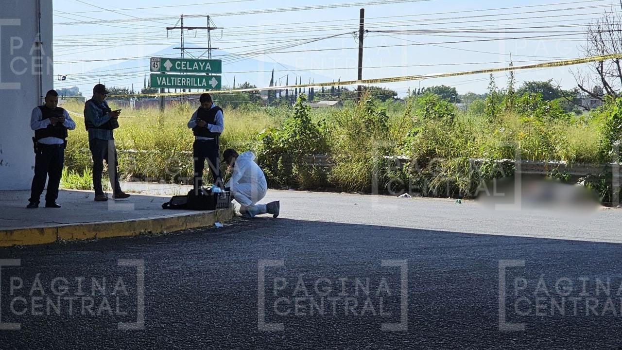 Asesinan en Guanajuato a 32 en un día