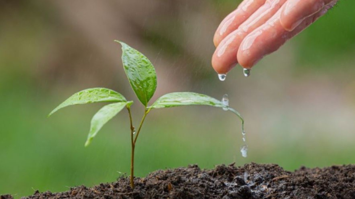Actualizarán leyes ambientales para que sepas cómo adaptarte al cambio climático