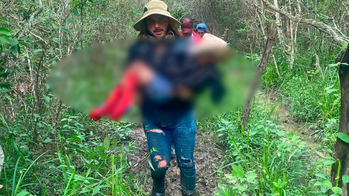 VIDEO Salvan a niño que se perdió 6 días en la selva de Campeche, dos perritos lo cuidaban