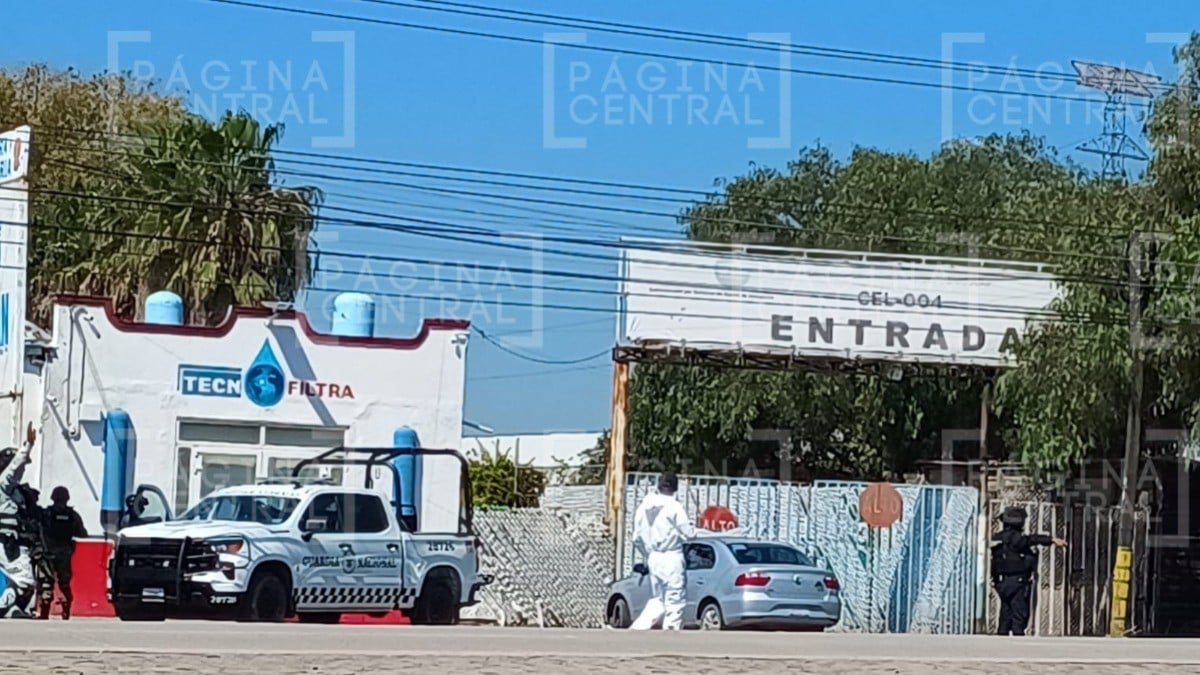 Escuchan gritos y después más de 15 balazos, atacan otro verificentro