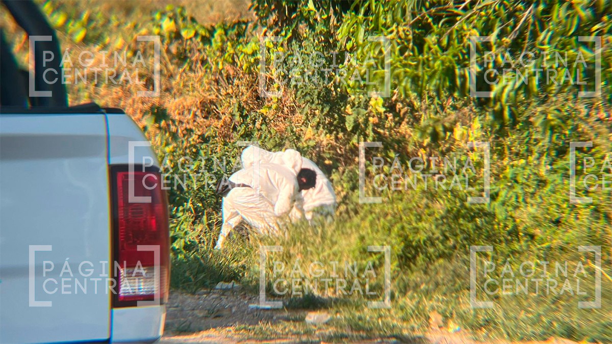 Encuentran a un encobijado en medio de un barbecho en Piletas IV