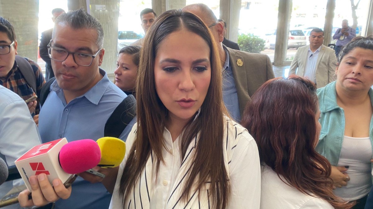 Atacarán las causas de la violencia en Guanajuato, Libia detalla plan de seguridad