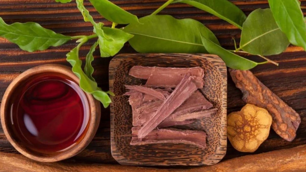 Hombre muere durante ritual de ayahuasca; te digo de qué trata