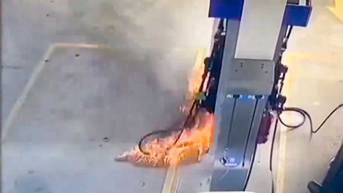 VIDEO Hombres incendian gasolinera intencionalmente, pero empleada apaga el fuego