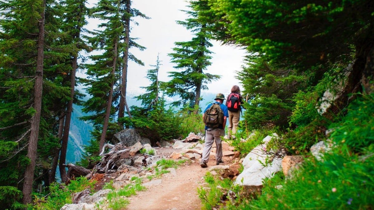 Hombre sobrevive 30 días perdido en el bosque; ¡Así lo encontraron!