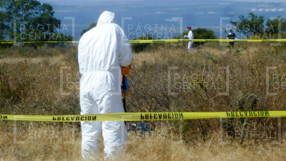 Hallan los cuerpos en descomposición de un hombre y una mujer en unos campos de béisbol