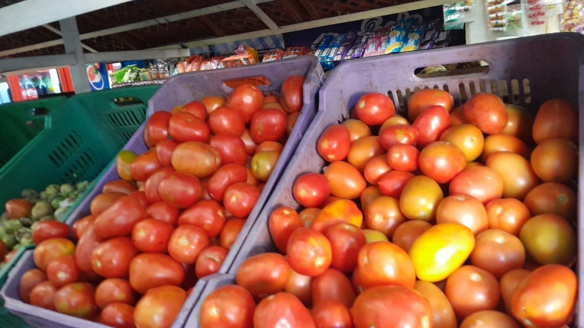 Clima ocasiona que se dispare otra vez precio del jitomate; ¡esto cuesta!