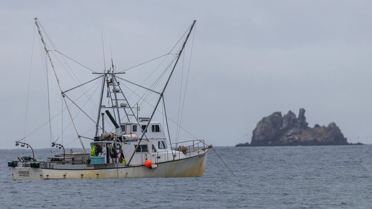 Desaparece barco camaronero en las costas de México; no se sabe nada de la tripulación
