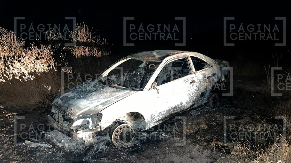 Colectivo de buscadoras encuentran un cuerpo semienterrado y un carro calcinado en Barretos