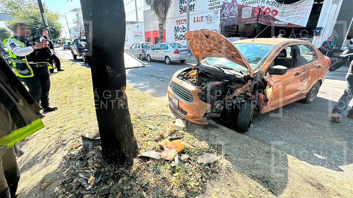 Actuario del Poder Judicial intentó ganarle el paso a la oruga, pero terminó chocado