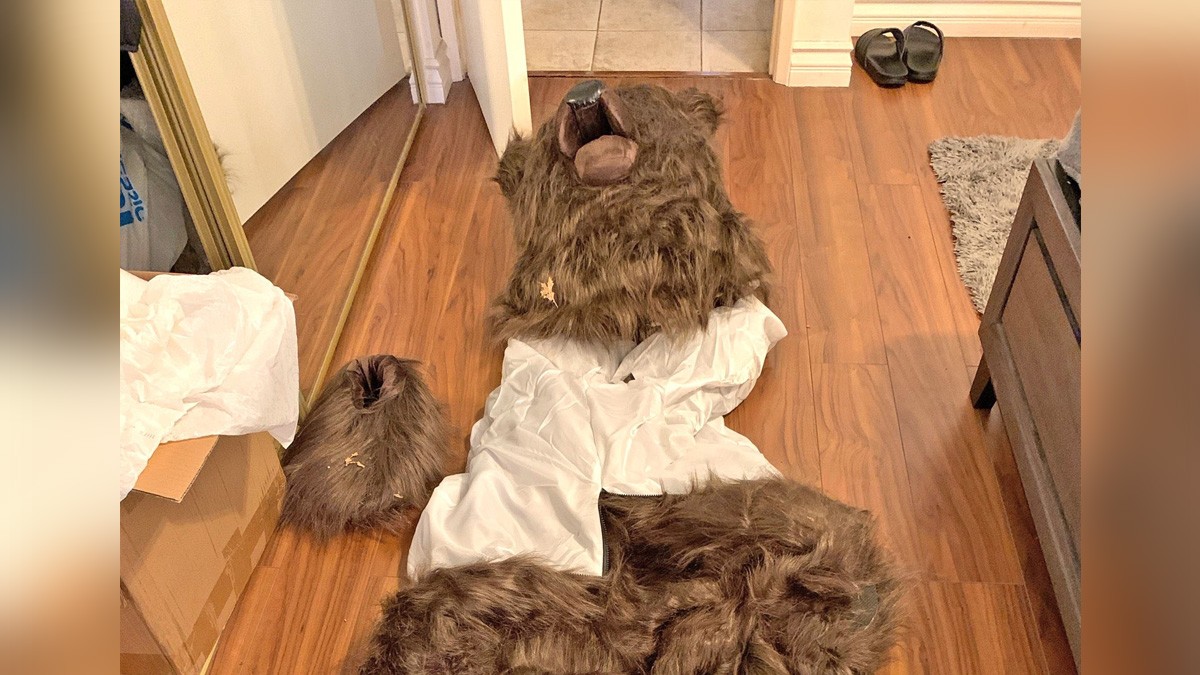 Hombre se disfraza de oso y ataca su propio auto para reclamar el seguro