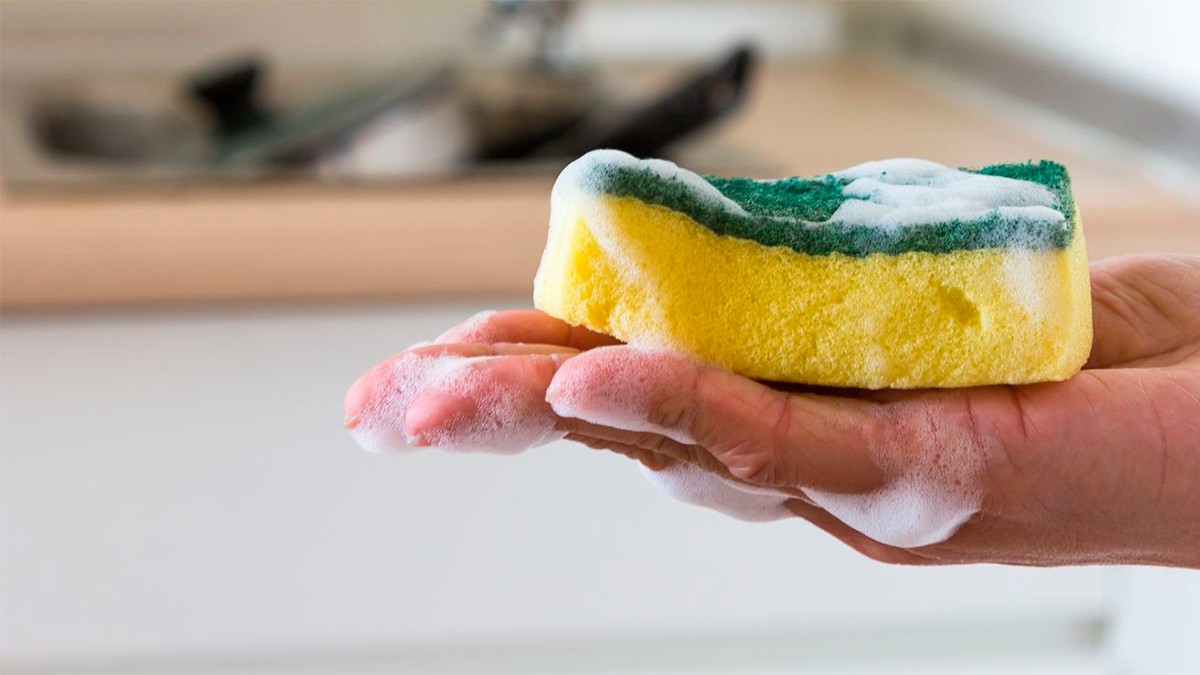 ¿Sabes cómo desinfectar la esponja de lavar trastes fácilmente? Aquí te lo decimos