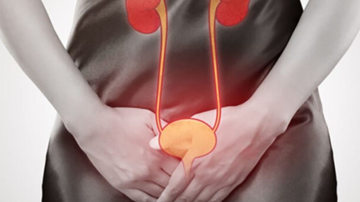 Conoce estas cuatro opciones naturales para controlar las infecciones urinarias