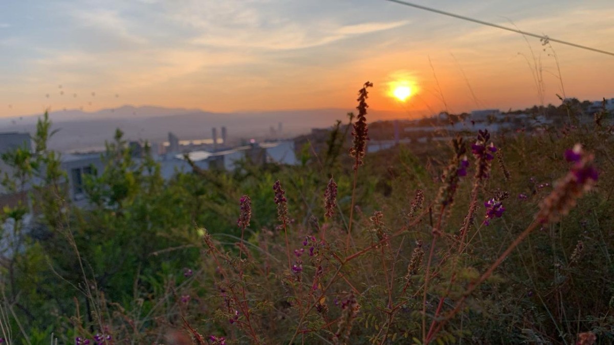 ¡A sacar el abrigo! Así estará el clima este domingo de FIG y Buen Fin en León