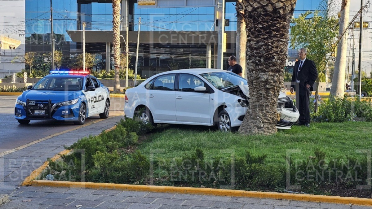 ¡Todo por un charco! Conductora pierde el control de su auto y choca contra palmera