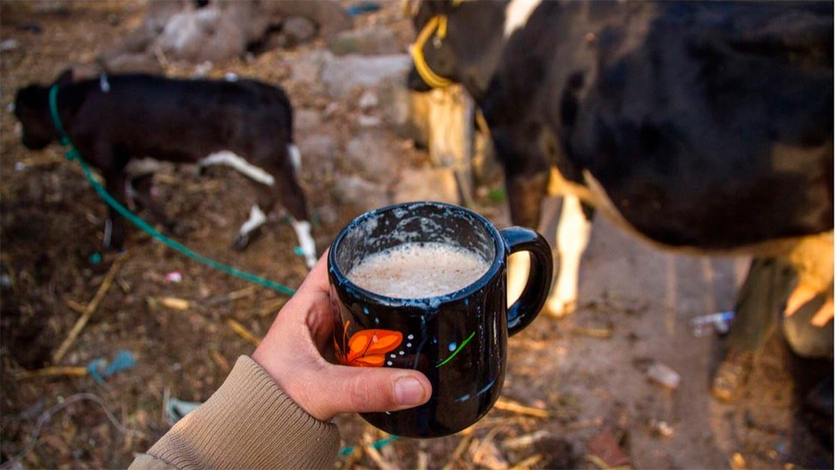 ¿Qué tan saludable es el pajarete? Esto debes saber sobre la famosa bebida