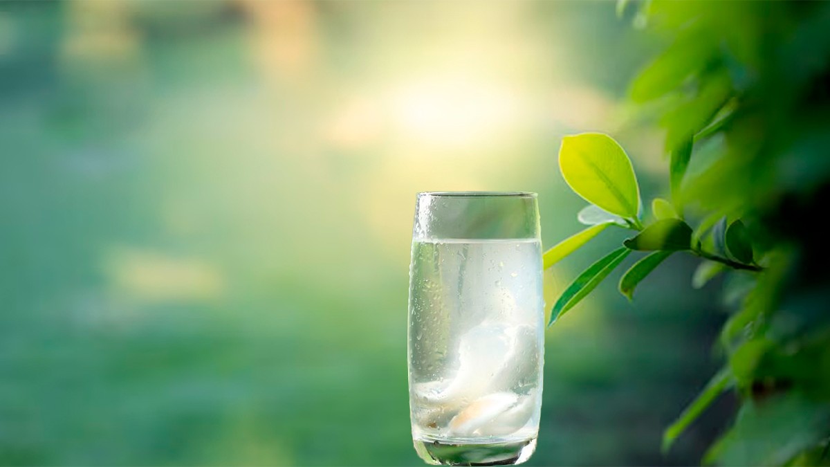 Esta deliciosa bebida te ayudará a fortalecer tu sistema inmune y limpiar el riñón